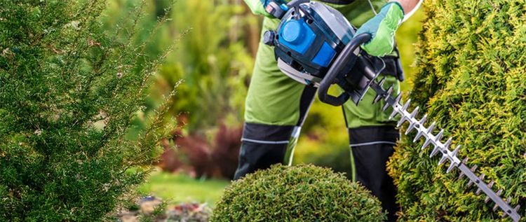 园艺和园林工具