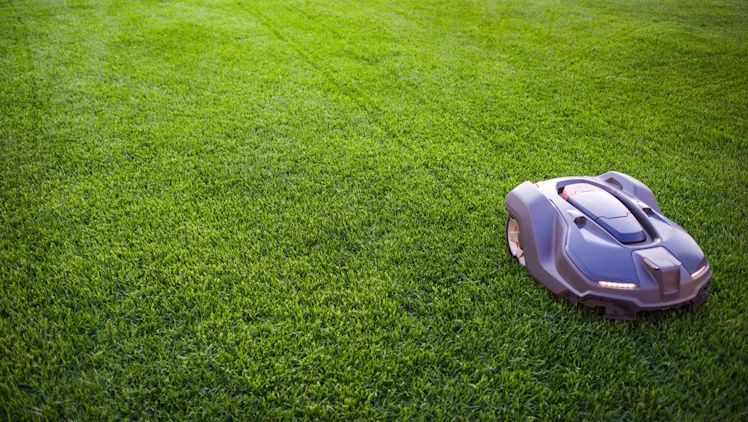 园艺和园林工具